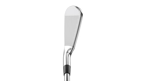 Mizuno Pro 225 Golf Iron Set 3-PW Steel Right Hand RH/Steel/R300