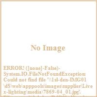 Livex 7869-14 Oxford 4 Light Outdoor Post Black