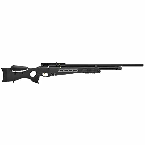 Wearable4U Hatsan BT65SB Elite Quiet Energy .177 Cal Air Rifle Bundle with 500 Pellets & 100 Targets