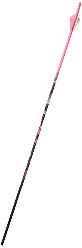 Gold Tip Name The Game Expedition 400 Arrows with 2-Inch HP Vanes 72 Count Pink Splash Pink