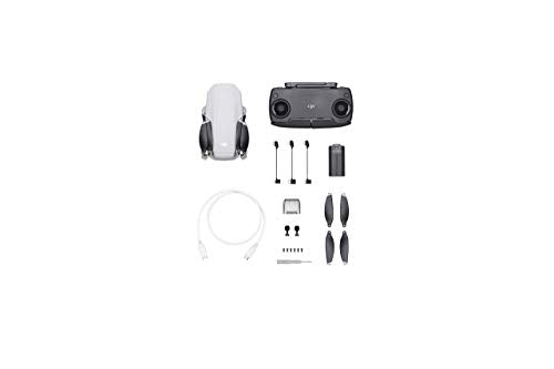 DJI Mavic Mini Drone FlyCam Quadcopter UAV 2.7K Camera Gray (Renewed)