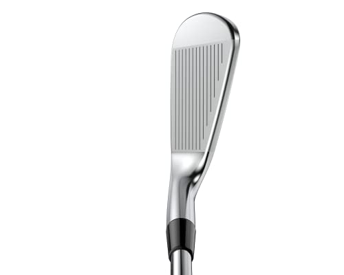 Cobra Golf King CB/MB Irons 4-PW Silver