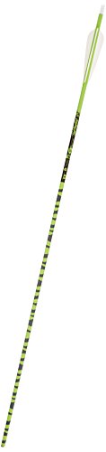 Gold Tip Ted Nugent 7595/300 Arrows with 4-Inch Vanes White Zebra Stripe