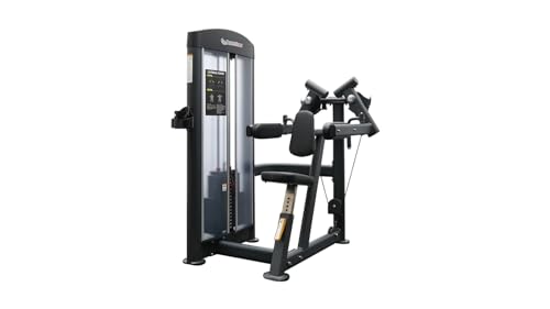 BK BodyKore Lateral Raise GR605 Black Frame