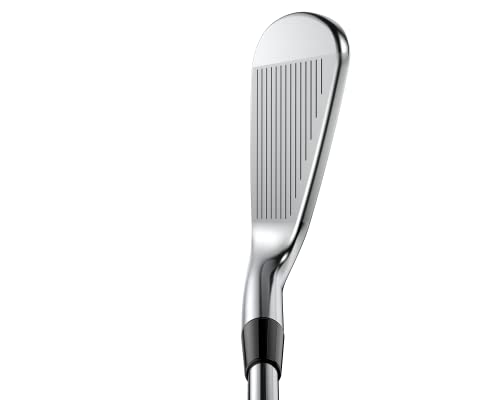 Cobra Golf King Tour Irons 4-PW Silver