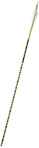 Gold Tip Ted Nugent 3555/500 Arrows with 4-Inch Vanes 72 Count White Zebra Stripe