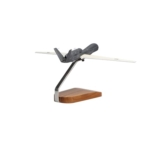 High Flying Models Northrop Grumman RQ-4B Global Hawk Mahogany Sculpture Multicolor