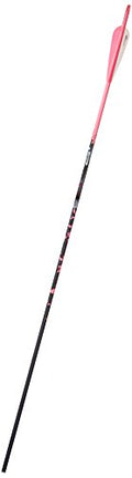 Gold Tip Name The Game XT 500 Arrows with 4-Inch Vanes 72 Count Pink Splash Pink