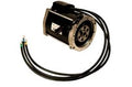Parts Direct AC 48 Volt EZGO RXV Golf Cart Replacement Motor
