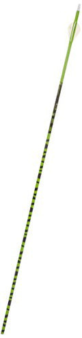 Gold Tip Ted Nugent 7595/300 Arrows with 2-Inch HP Vanes 72 Count White Zebra Stripe