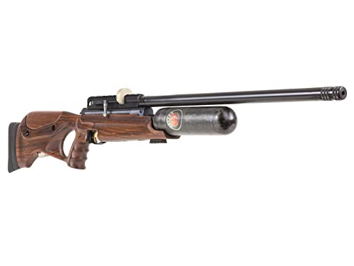 Wearable4U Hatsan NeutronStar .22 Cal PCP Air Rifle Bundle with 250 Pellets and 100 Paper Targets