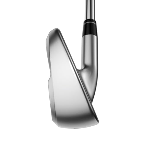 Callaway Apex AI300 Iron Set Graphite Right Regular Chrome