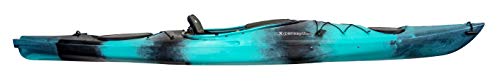 Perception Kayaks Conduit 13 Sit Inside Recreational Kayak Dapper
