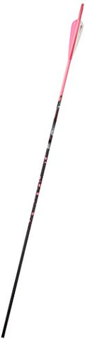 Gold Tip Name The Game Expedition 500 Arrows with 4-Inch Vanes 72 Count Pink Splash Pink