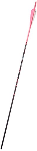 Gold Tip Name The Game Expedition 500 Arrows with 4-Inch Vanes 72 Count Pink Splash Pink