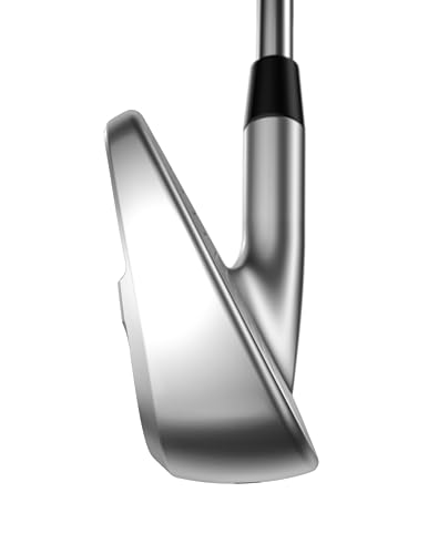 Callaway Golf APEX PRO Iron Set (Right Hand, 4 Iron - PW,AW, Steel, Stiff) Silver