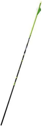 Gold Tip Name The Game Expedition 300 Arrows with 2-Inch HP Vanes 72 Count Green Splash Green