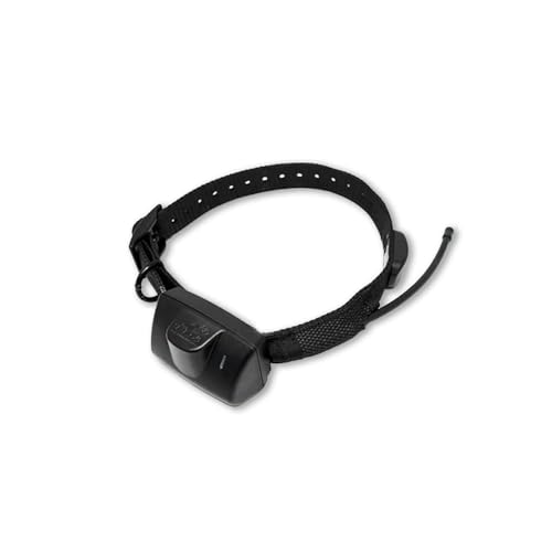 DT Systems Dog Expedition Border Patrol TC1 GPS System & Remote Trainer Black