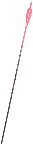 Gold Tip Name The Game XT 400 Arrows with 4-Inch Vanes 72 Count Pink