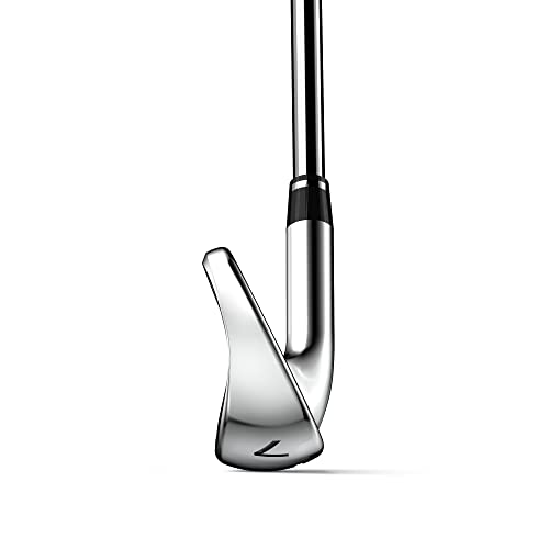 WILSON Dynapower Men's Steel Golf Irons - Right Hand, Stiff, 5-PW, GW Silver/Red