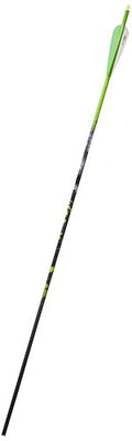 Gold Tip "Name The Game" Expedition 300 Arrows with 4-Inch Vanes 72 Count Green Splash Green