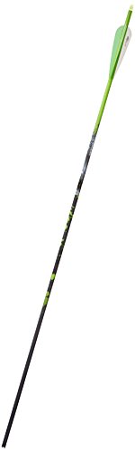 Gold Tip "Name The Game" Expedition 300 Arrows with 4-Inch Vanes 72 Count Green Splash Green