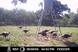 All Seasons Feeders ASF Broadcast Deer Feeder Corn Feeder 300
