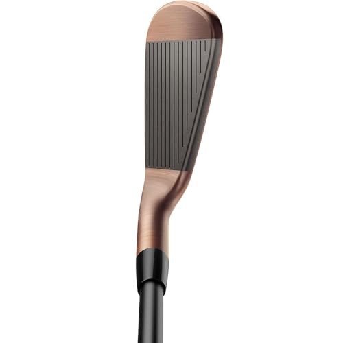 TaylorMade Men's P770 Aged Copper Iron Set RH 4-PW C-Taper Lite Black 110