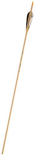 Gold Tip Traditional XT 1535/600 Arrows with 4-Inch Feathers Beige