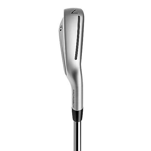 TaylorMade Golf P790 Irons 4-PW Righthanded Steel Regular Silver