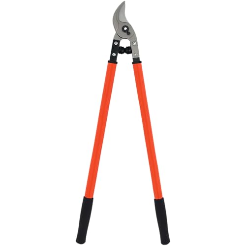 Zenport MV175 Professional Orchard and Landscape Tree Lopper 30-Inch Box of 12 Orange