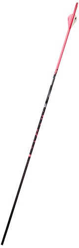 Gold Tip Name The Game XT 500 Arrows with 2-Inch HP Vanes 72 Count Pink Splash Pink