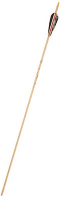 Gold Tip Traditional Hunter 5575/400 Arrows with 4-Inch Feathers Beige 72 Count