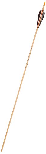 Gold Tip Traditional Hunter 5575/400 Arrows with 4-Inch Feathers Beige 72 Count