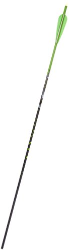 Gold Tip "Name The Game" Expedition 400 Arrows with 4-Inch Vanes 72 Count Green Splash Green