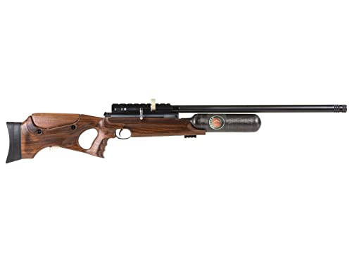 Wearable4U Hatsan NeutronStar .22 Cal PCP Air Rifle Bundle with 250 Pellets and 100 Paper Targets
