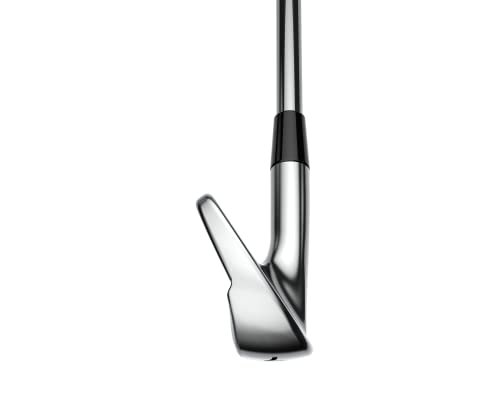 Cobra Golf King CB/MB Irons 4-PW Silver