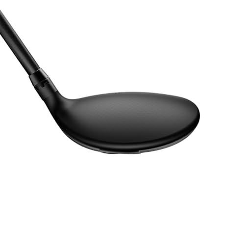 COBRA DarkSpeed LS Titanium Fairway Black