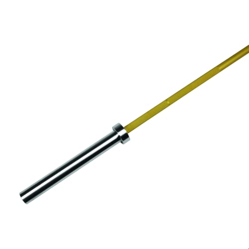 Life Fitness Hammer Strength Olympic Bar Gold Cerakote