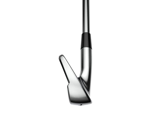 Cobra Golf King Tour Irons 4-PW Silver