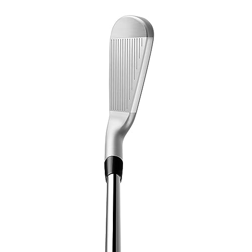 TaylorMade Golf P790 Irons 4-PW Righthanded Steel Regular Silver