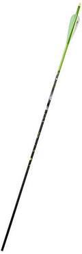 Gold Tip Name The Game XT 300 Arrows with 4-Inch Vanes 72 Count Green Splash Green