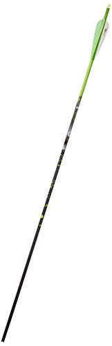 Gold Tip Name The Game XT 300 Arrows with 4-Inch Vanes 72 Count Green Splash Green