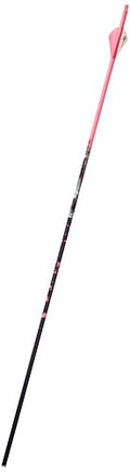 Gold Tip Name The Game XT 400 Arrows with 2-Inch HP Vanes 72 Count Pink