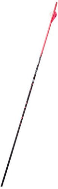Gold Tip Name The Game Expedition 500 Arrows with 2-Inch HP Vanes 72 Count Pink Splash