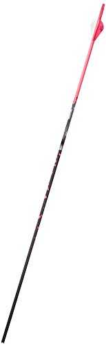 Gold Tip Name The Game Expedition 500 Arrows with 2-Inch HP Vanes 72 Count Pink Splash