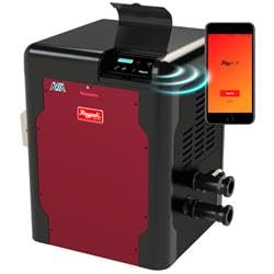 Raypak PR264AEPC 264K BTU Avia Propane Gas Low Nox Heater with IG Poly Header & Copper Tubing