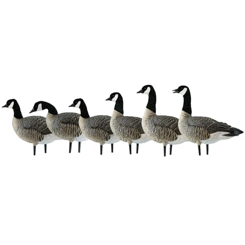 Avian-X AXP Honkers Fusion Pack Lesser Canada Goose Decoys 2 Pack