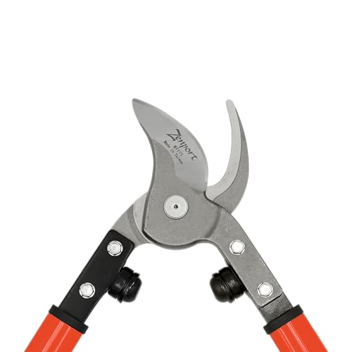 Zenport MV175 Professional Orchard and Landscape Tree Lopper 30-Inch Box of 12 Orange
