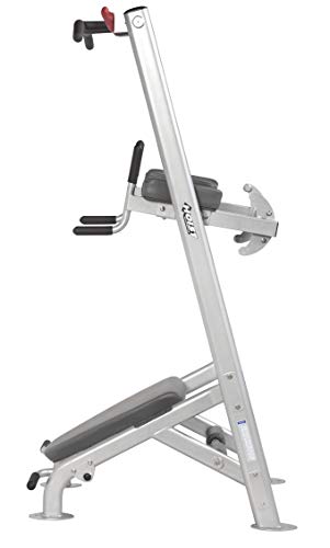 HOIST Fitness Dip Station & Pull Up Bar Platinum